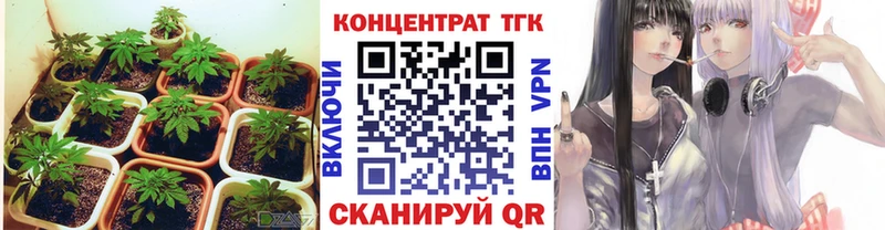 ТГК THC oil  где продают наркотики  OMG   Михайловск 
