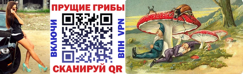 блэк спрут зеркало  наркошоп  Михайловск  Псилоцибиновые грибы мухоморы 